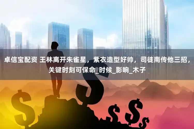 卓信宝配资 王林离开朱雀星，紫衣造型好帅，司徒南传他三招，关键时刻可保命_时候_影响_木子