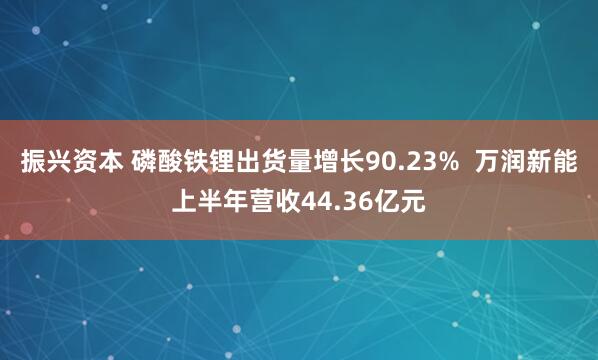 振兴资本 磷酸铁锂出货量增长90.23%  万润新能上半年营收44.36亿元