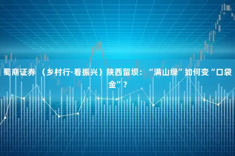 蜀商证券 （乡村行·看振兴）陕西留坝：“满山绿”如何变“口袋金”？