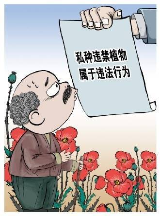 东方财富配资 种“花”惹的祸石家庄鹿泉检察以身边案警示身边人